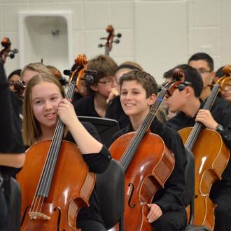 imagen violonchelo card