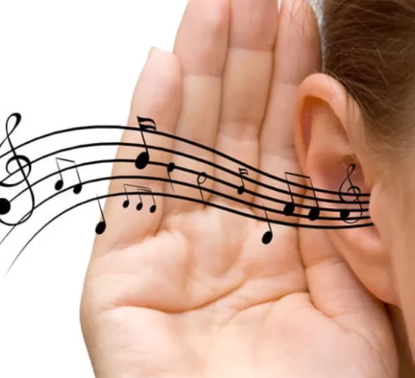 Entrenamiento auditivo full