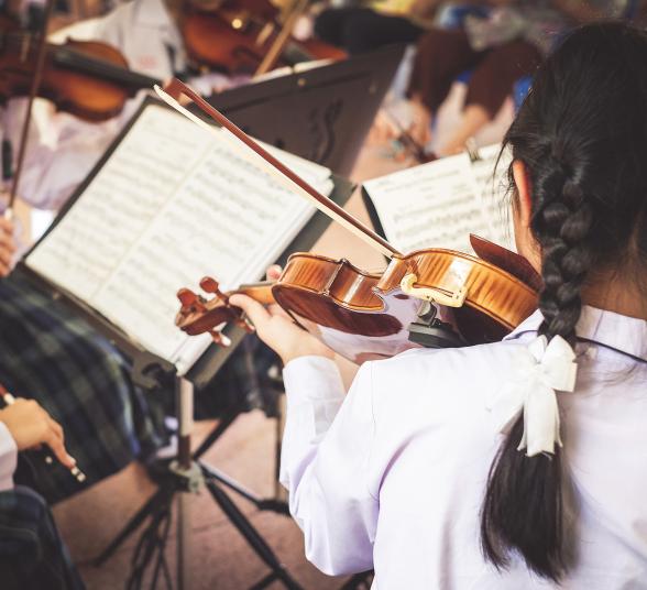 imagen violín full